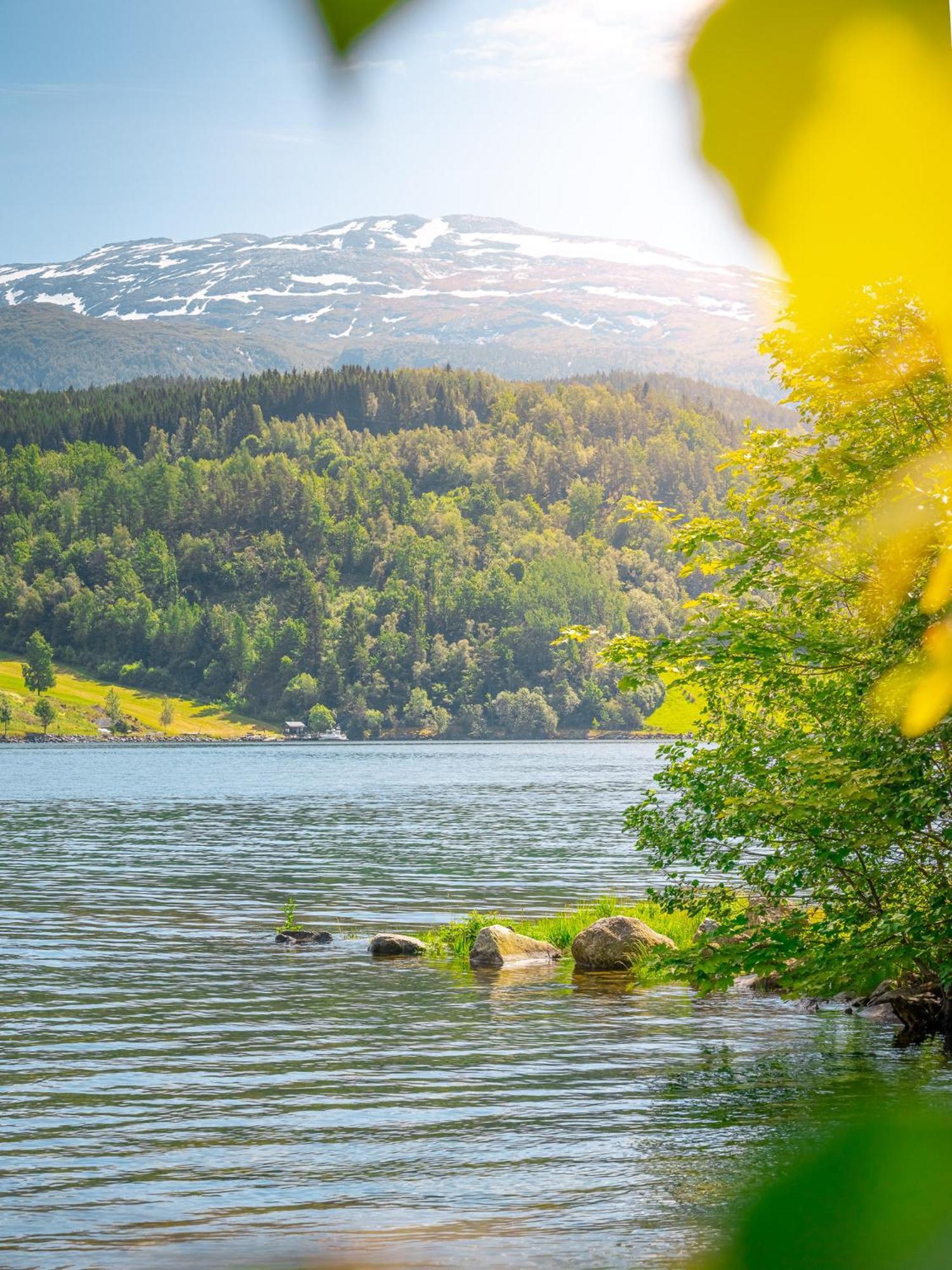 Ulvik Camping Екстериор снимка